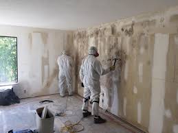 Evadale, TX Mold Removal Services Company